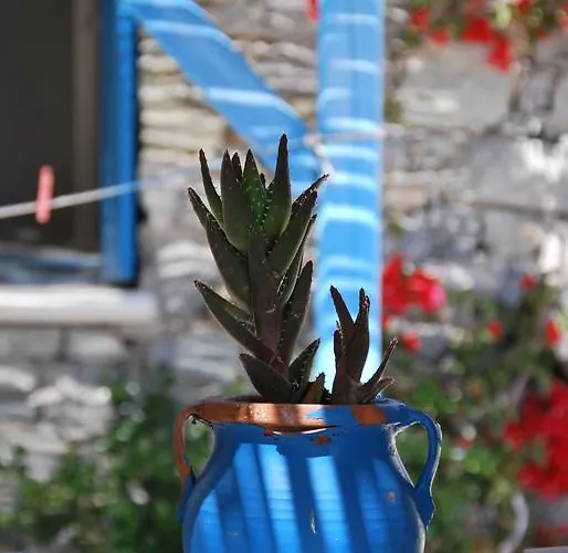 Apartmán Chaniotis Kalafatis