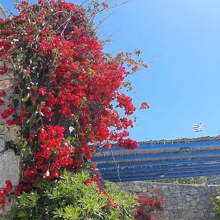 Chaniotis Studios