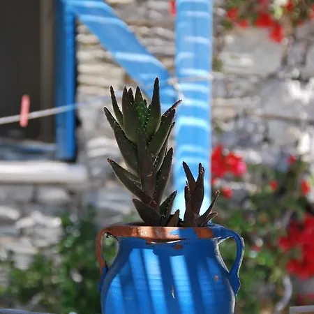 公寓 Chaniotis 卡拉法蒂斯