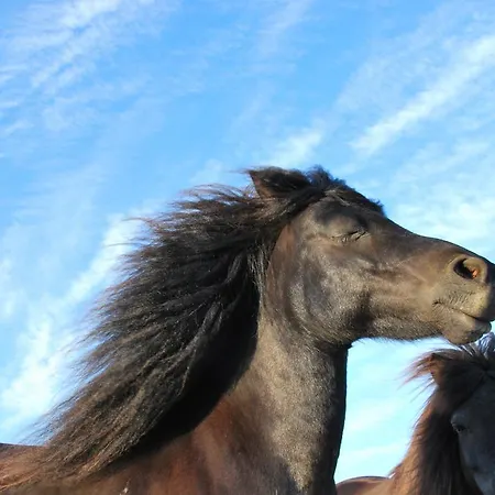 Apartament Chaniotis