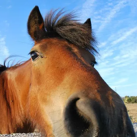 Apartament Chaniotis Kalafati